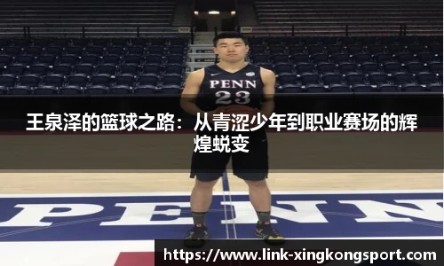 星空体育在线官网