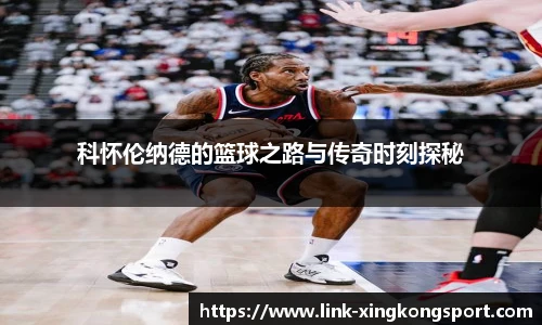 星空体育在线官网